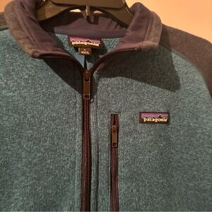 Patagonia pull over men better sweater
